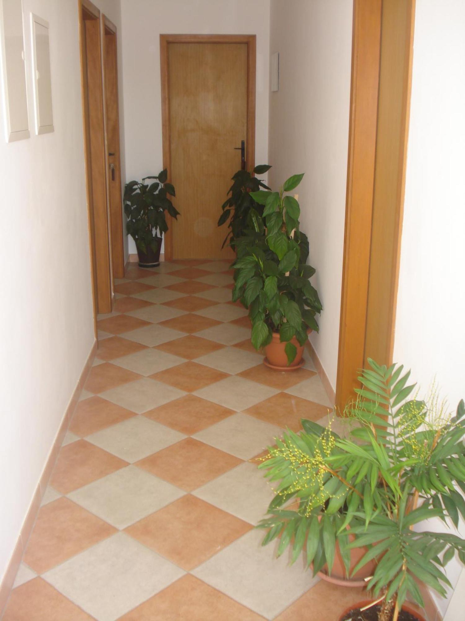 Apartments San Giorgio Sucuraj Bagian luar foto